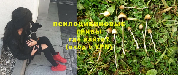 таблы Нея