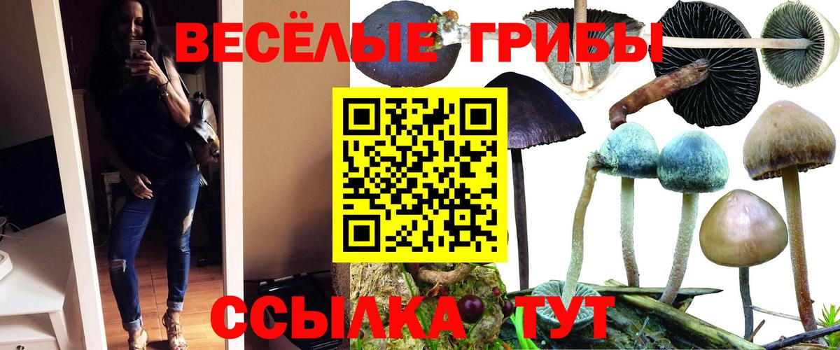 Псилоцибиновые грибы MAGIC MUSHROOMS Удомля