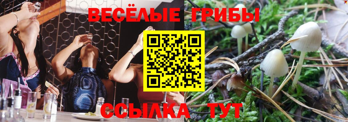 Удомля  Галлюциногенные грибы Magic Shrooms  Вход с VPN 
