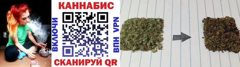 как найти   Удомля  Канабис SATIVA & INDICA 